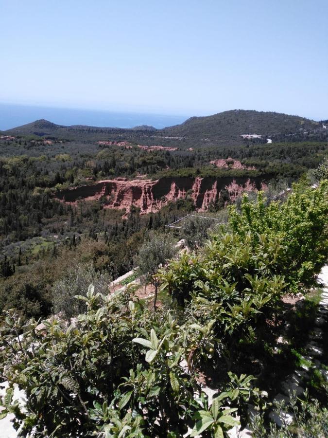 Vuno Vila Aleks מראה חיצוני תמונה
