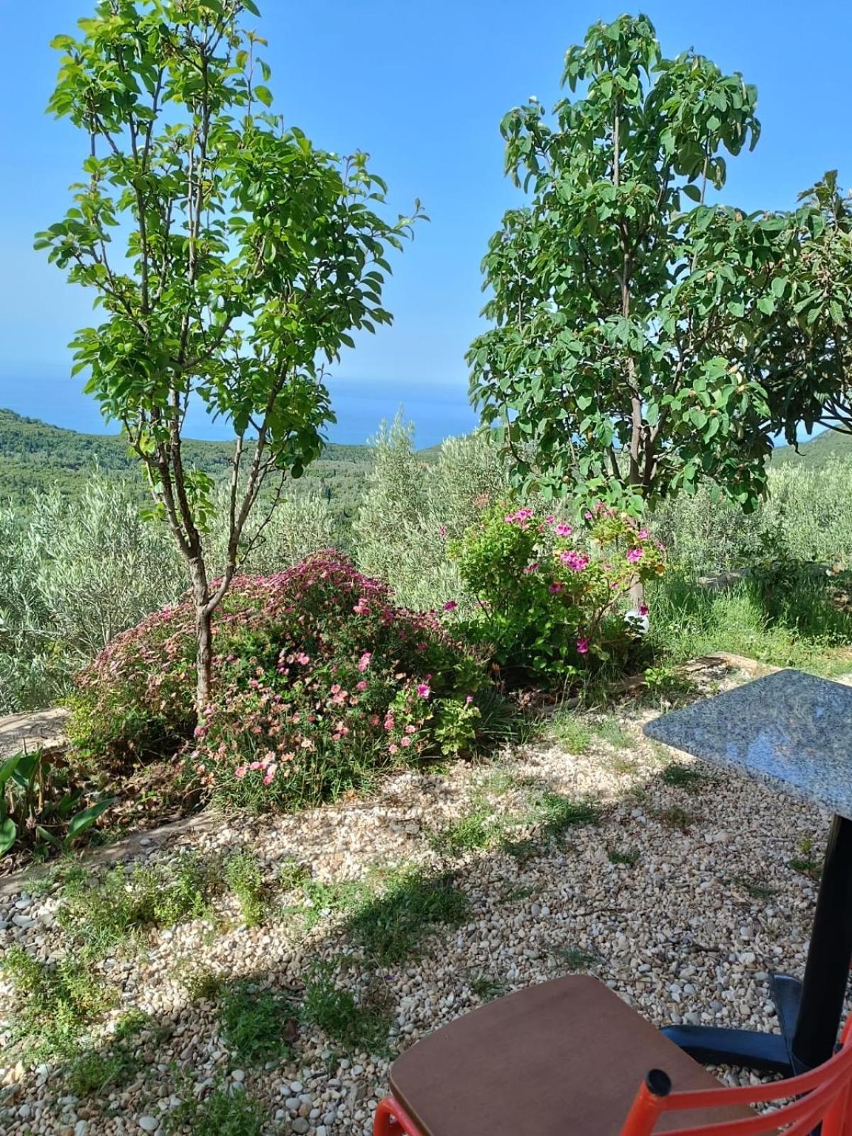 Vuno Vila Aleks מראה חיצוני תמונה